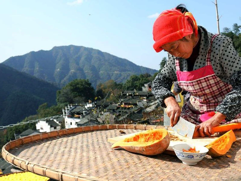 婺源篁岭晒秋