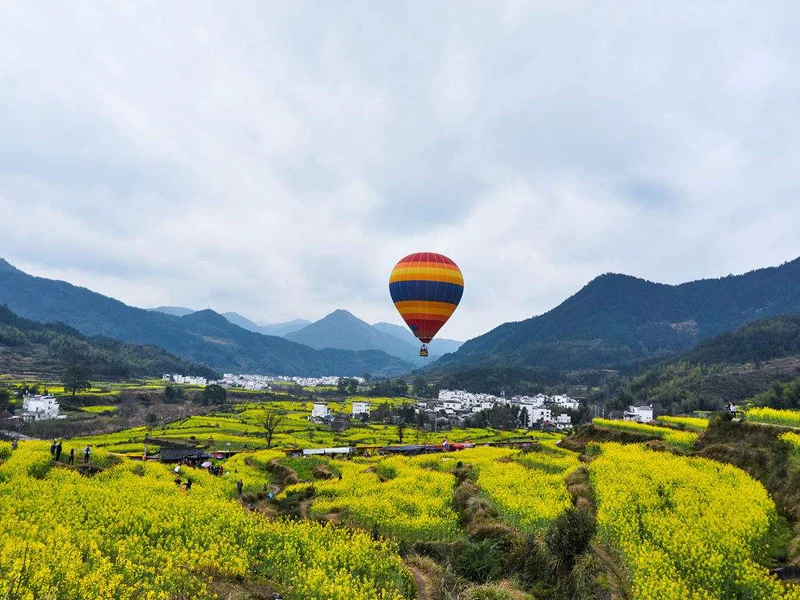 婺源油菜花